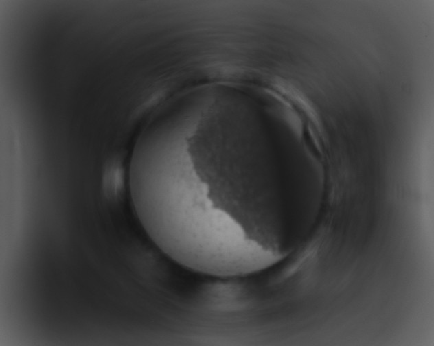 X0000095670067200801081217