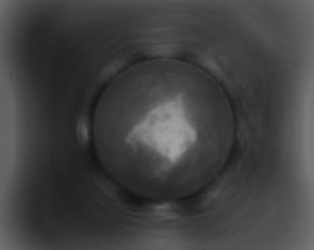 X0000095670068200801081217