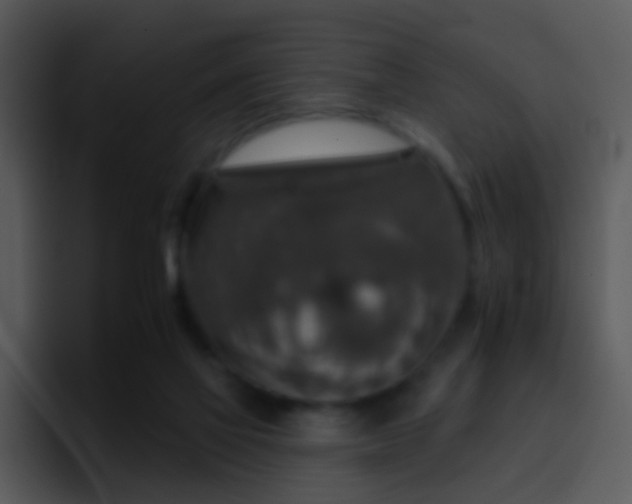 X0000095670069200801081217