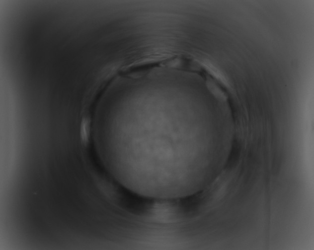 X0000095670070200801081217