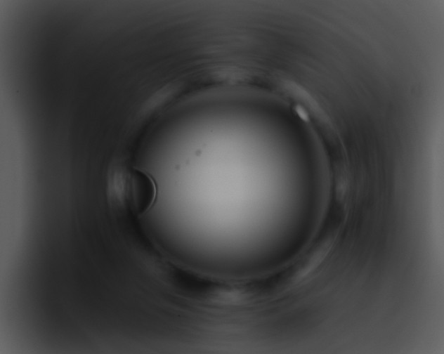 X0000095670071200801081217