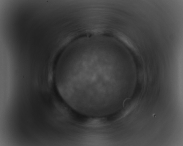 X0000095670072200801081217