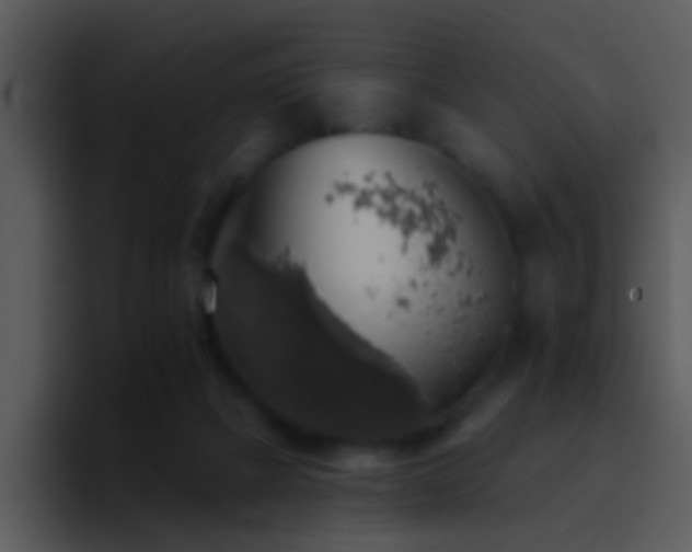 X0000095670073200801081217