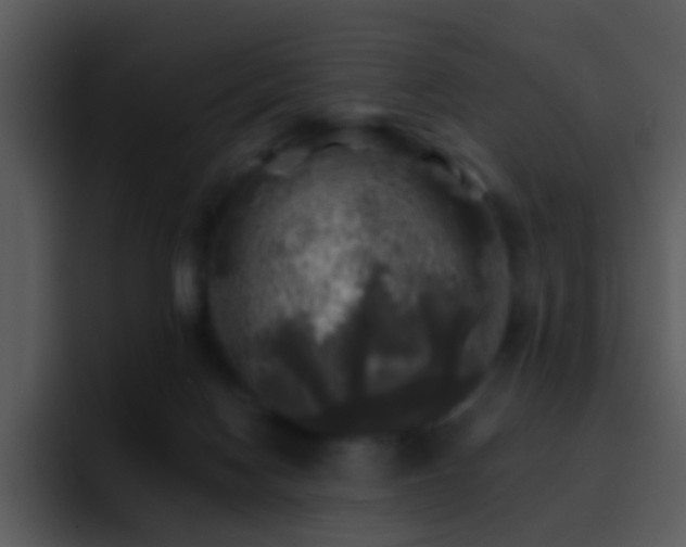 X0000095670074200801081217