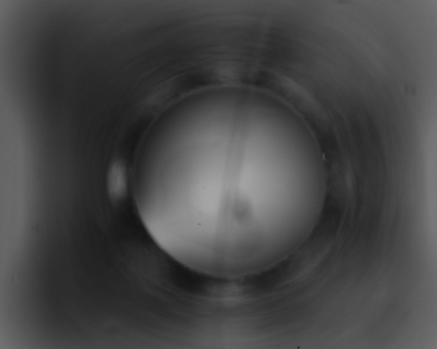 X0000095670075200801081217