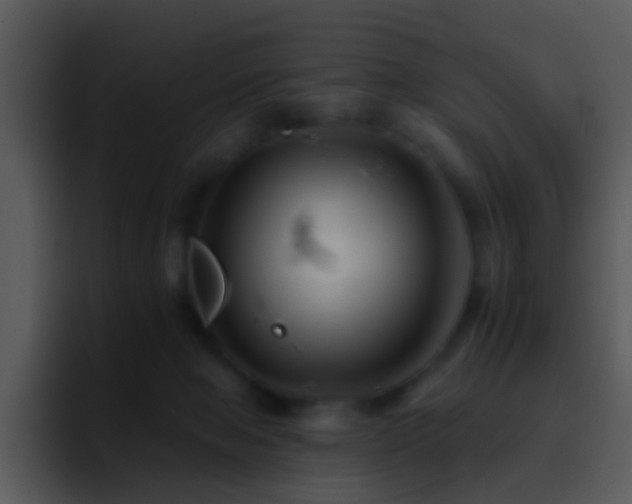 X0000095670077200801081217