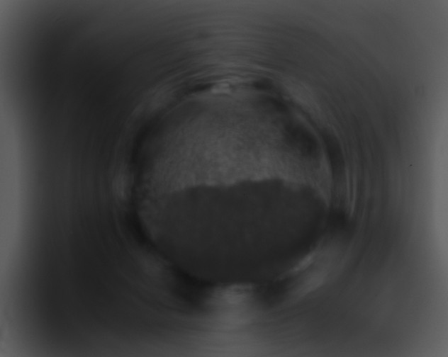 X0000095670078200801081217