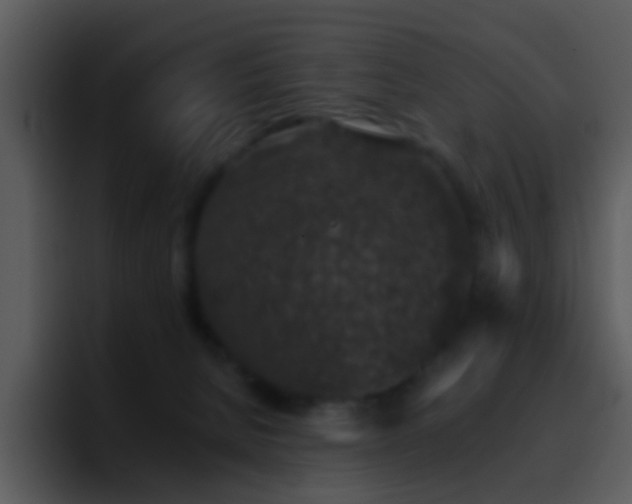 X0000095670080200801081217