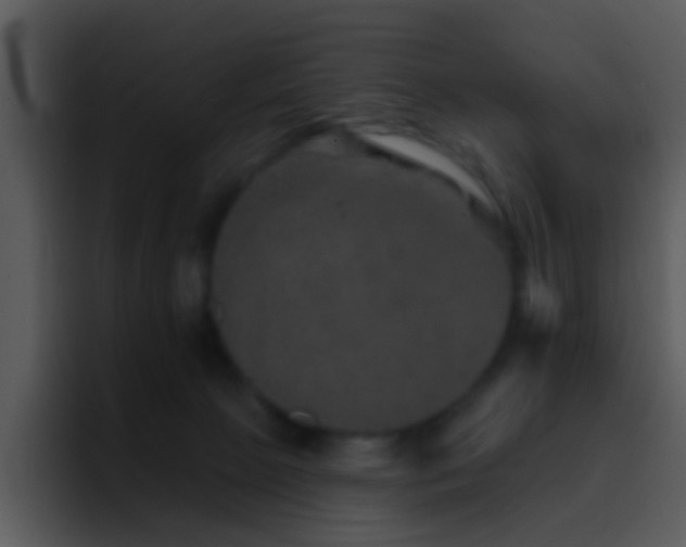 X0000095670081200801081217