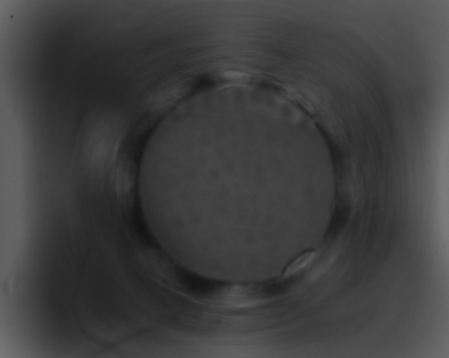 X0000095670082200801081217