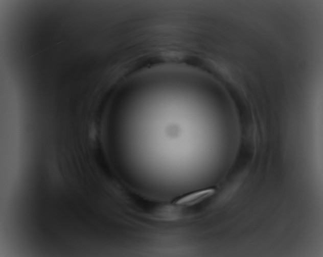 X0000095670084200801081217