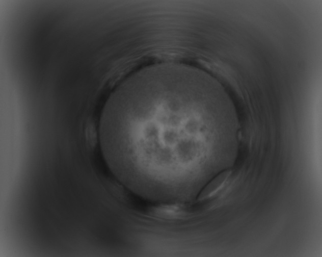 X0000095670086200801081217