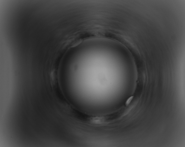 X0000095670088200801081217