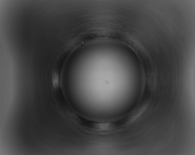 X0000095670089200801081217