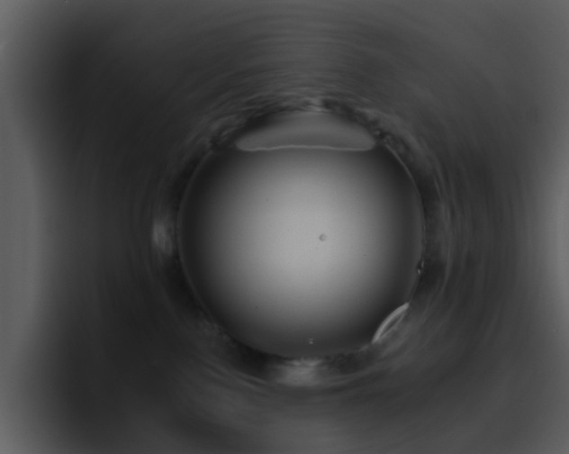 X0000095670090200801081217