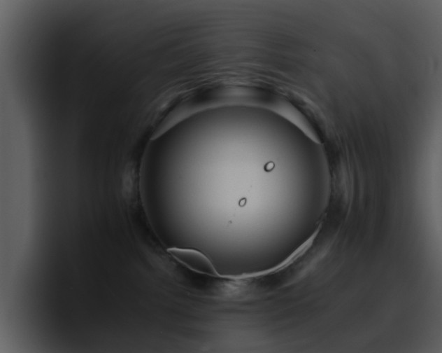 X0000095670092200801081217