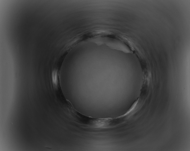 X0000095670094200801081217