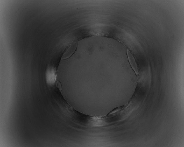 X0000095670095200801081217