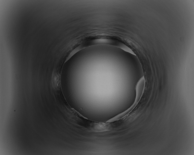 X0000095670096200801081217