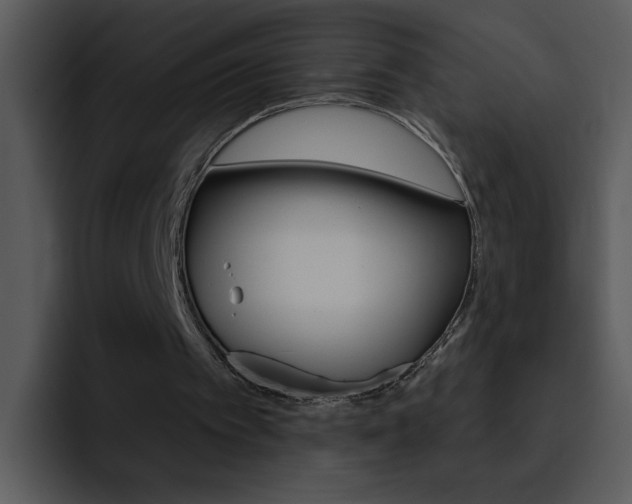 X0000095670097200801081217