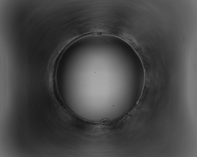 X0000095670098200801081217