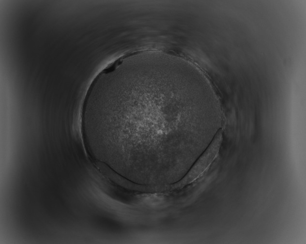 X0000095670100200801081217