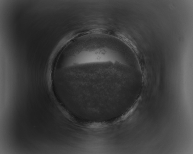 X0000095670101200801081217