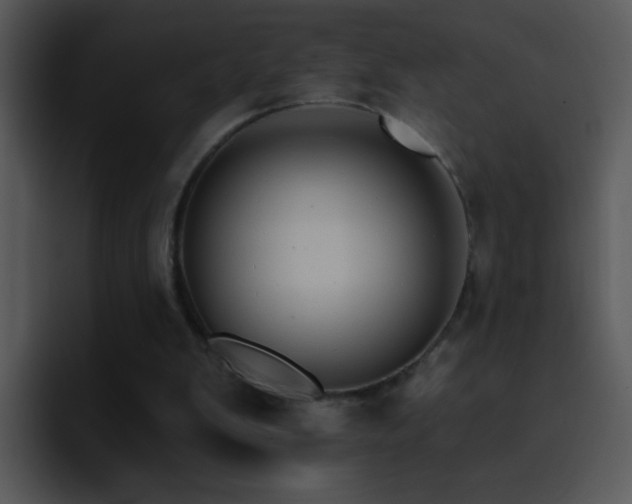 X0000095670103200801081217