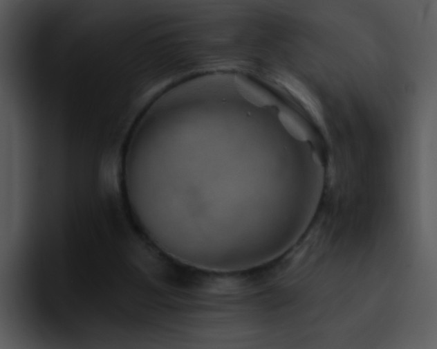 X0000095670107200801081216