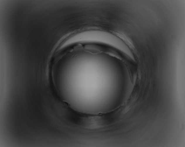 X0000095670108200801081216