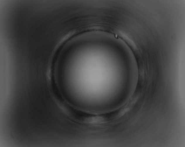 X0000095670112200801081216