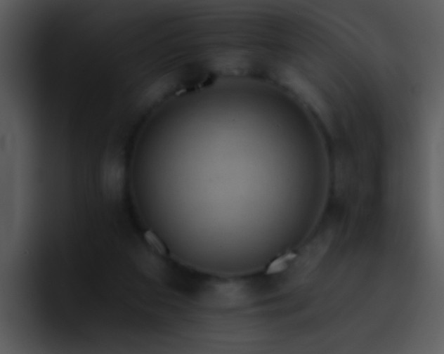 X0000095670113200801081216