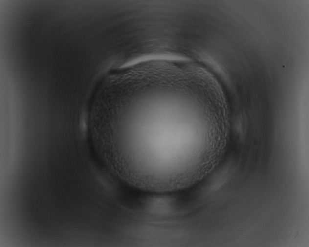 X0000095670115200801081216