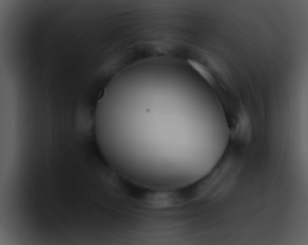 X0000095670129200801081216