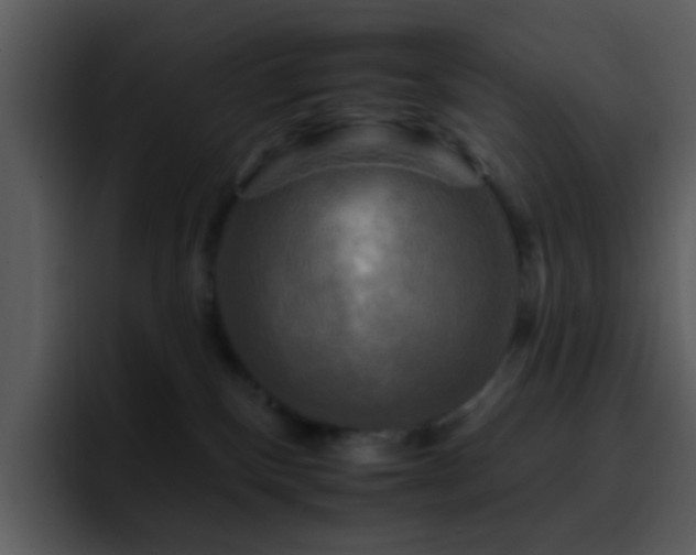 X0000095670136200801081216
