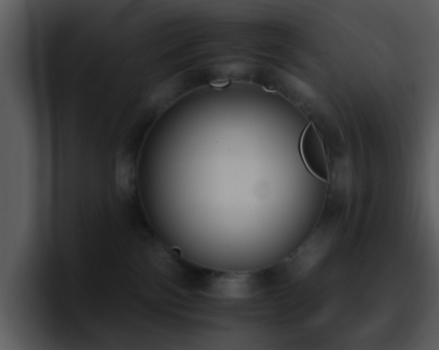 X0000095670138200801081216