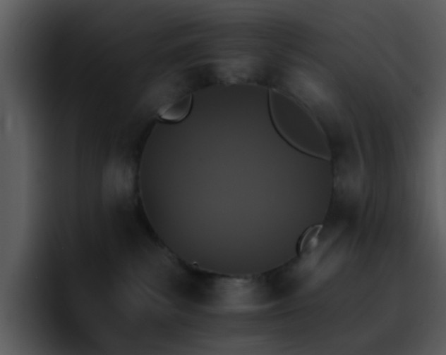 X0000095670139200801081216