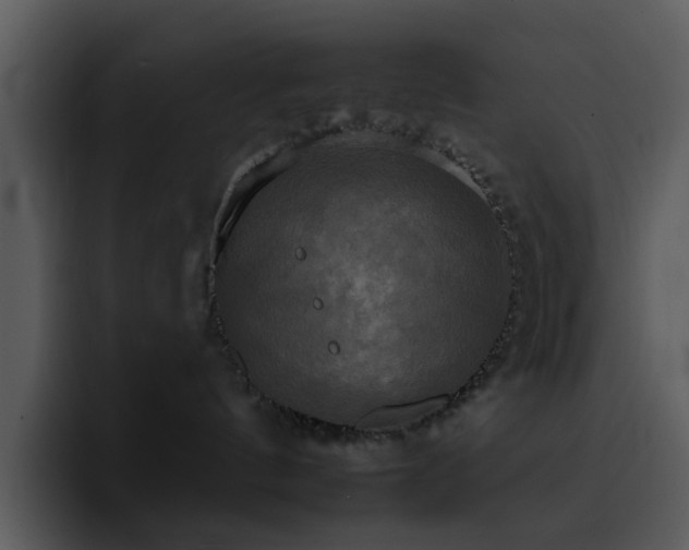 X0000095670144200801081216