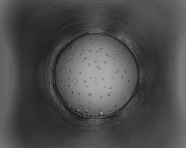 X0000095670145200801081215