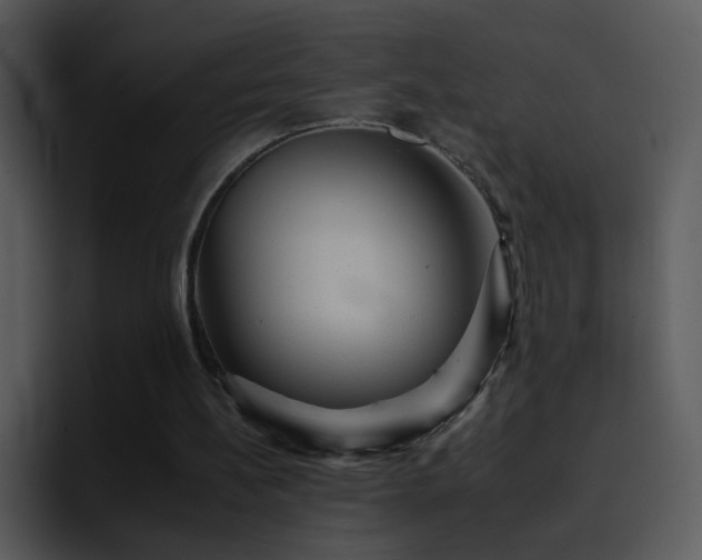X0000095670148200801081215