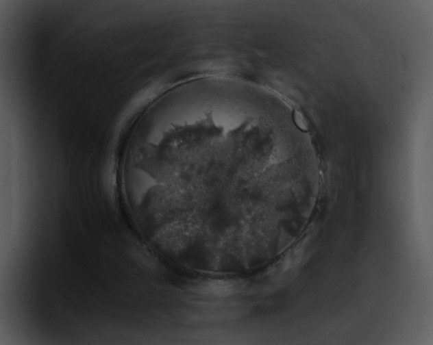 X0000095670149200801081215