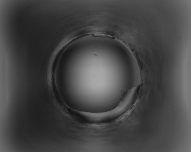 X0000095670150200801081215