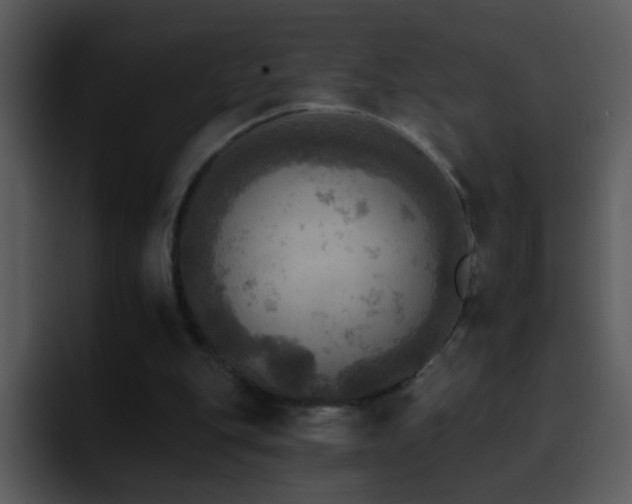 X0000095670151200801081215