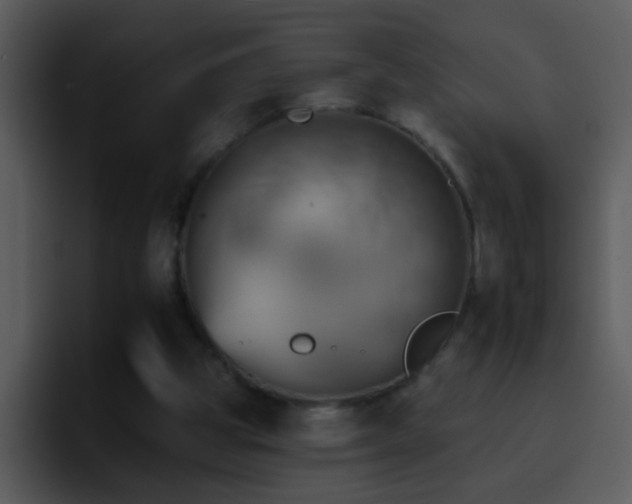 X0000095670153200801081215