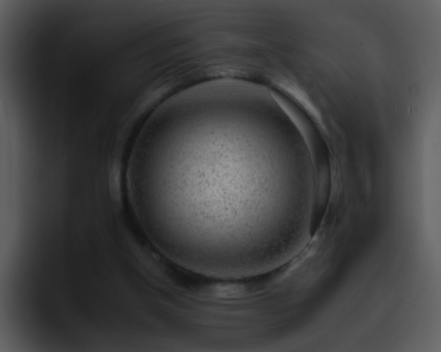 X0000095670154200801081215