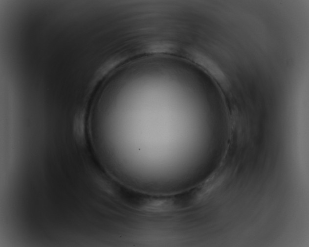 X0000095670155200801081215