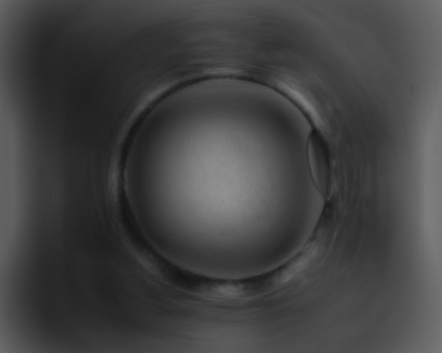 X0000095670156200801081215