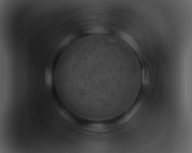 X0000095670157200801081215