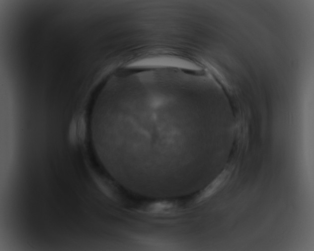 X0000095670158200801081215