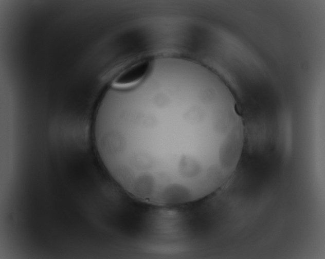 X0000095670159200801081215